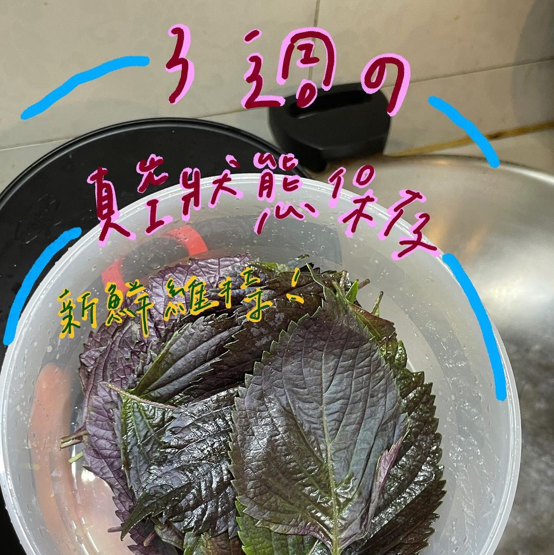 長頸鹿學姊的健康自煮+健身日記 | 蓋力嗨真空盒 | 真空保鮮盒|保存容器|食物保鮮