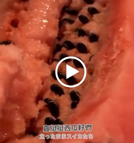 咖咖媽｜岩手生活 • 旅遊 | 玻璃真空罐 | 好吃西瓜皮